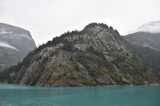 Filename=DSC_0729.JPG
Filesize=17319KiB
Dimensions=7360x4912
Date added=Sep 16, 2019 DSC_0729.JPG