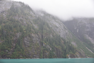 Filename=DSC_0730.JPG
Filesize=17035KiB
Dimensions=7360x4912
Date added=Sep 16, 2019 DSC_0730.JPG