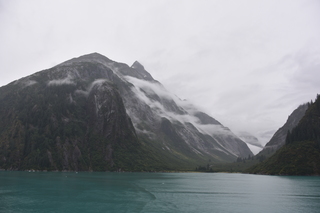 Filename=DSC_0734.JPG
Filesize=14629KiB
Dimensions=7360x4912
Date added=Sep 16, 2019 DSC_0734.JPG