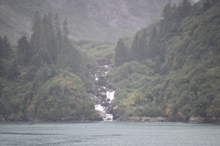 Filename=DSC_0741.JPG
Filesize=17193KiB
Dimensions=7360x4912
Date added=Sep 16, 2019 DSC_0741.JPG