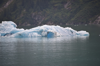 Filename=DSC_0775.JPG
Filesize=17072KiB
Dimensions=7360x4912
Date added=Sep 16, 2019 DSC_0775.JPG