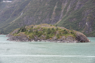 Filename=DSC_0798.JPG
Filesize=20764KiB
Dimensions=7360x4912
Date added=Sep 16, 2019 DSC_0798.JPG