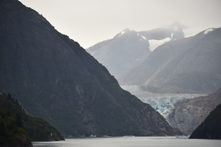 Filename=DSC_0800.JPG
Filesize=14538KiB
Dimensions=7360x4912
Date added=Sep 16, 2019 DSC_0800.JPG