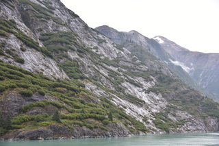 Filename=DSC_0807.JPG
Filesize=19226KiB
Dimensions=7360x4912
Date added=Sep 16, 2019 DSC_0807.JPG