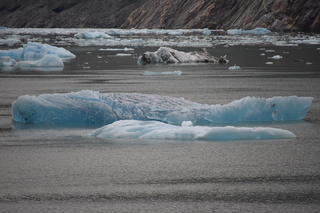 Filename=DSC_0822.JPG
Filesize=18330KiB
Dimensions=7360x4912
Date added=Sep 16, 2019 DSC_0822.JPG