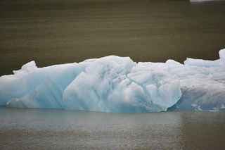 Filename=DSC_0824.JPG
Filesize=17306KiB
Dimensions=7360x4912
Date added=Sep 16, 2019 DSC_0824.JPG