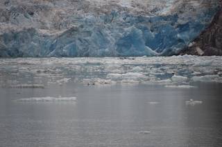 Filename=DSC_0845.JPG
Filesize=16683KiB
Dimensions=7360x4912
Date added=Sep 16, 2019 DSC_0845.JPG