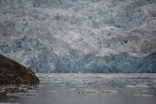 Filename=DSC_0858.JPG
Filesize=17502KiB
Dimensions=7360x4912
Date added=Sep 16, 2019 DSC_0858.JPG