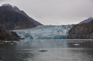 Filename=DSC_0879.JPG
Filesize=17459KiB
Dimensions=7360x4912
Date added=Sep 16, 2019 DSC_0879.JPG