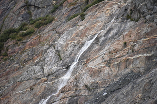 Filename=DSC_0882.JPG
Filesize=20223KiB
Dimensions=7360x4912
Date added=Sep 16, 2019 DSC_0882.JPG