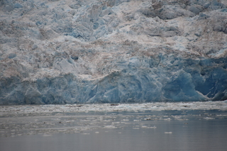 Filename=DSC_0887.JPG
Filesize=17150KiB
Dimensions=7360x4912
Date added=Sep 16, 2019 DSC_0887.JPG