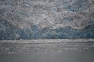 Filename=DSC_0888.JPG
Filesize=16831KiB
Dimensions=7360x4912
Date added=Sep 16, 2019 DSC_0888.JPG