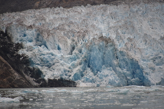 Filename=DSC_0890.JPG
Filesize=17808KiB
Dimensions=7360x4912
Date added=Sep 16, 2019 DSC_0890.JPG