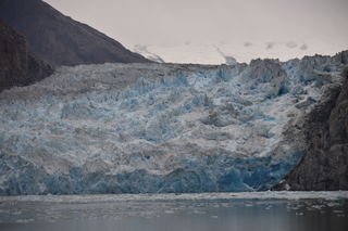 Filename=DSC_0892.JPG
Filesize=16893KiB
Dimensions=7360x4912
Date added=Sep 16, 2019 DSC_0892.JPG