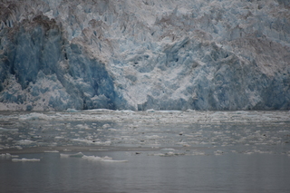 Filename=DSC_0928.JPG
Filesize=17089KiB
Dimensions=7360x4912
Date added=Sep 16, 2019 DSC_0928.JPG