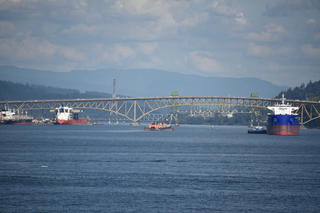 Filename=DSC_9186.JPG
Filesize=17020KiB
Dimensions=7360x4912
Date added=Sep 16, 2019 DSC_9186.JPG