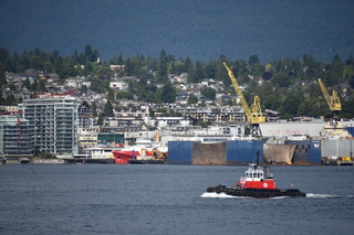 Filename=DSC_9189.JPG
Filesize=19758KiB
Dimensions=7360x4912
Date added=Sep 16, 2019 DSC_9189.JPG