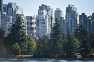 Filename=DSC_9220.JPG
Filesize=18592KiB
Dimensions=7360x4912
Date added=Sep 16, 2019 DSC_9220.JPG