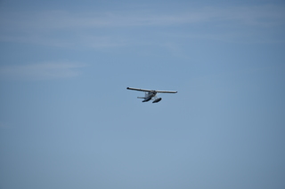 Filename=DSC_9230.JPG
Filesize=13526KiB
Dimensions=7360x4912
Date added=Sep 16, 2019 DSC_9230.JPG