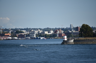 Filename=DSC_9231.JPG
Filesize=17107KiB
Dimensions=7360x4912
Date added=Sep 16, 2019 DSC_9231.JPG