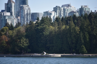 Filename=DSC_9233.JPG
Filesize=18568KiB
Dimensions=7360x4912
Date added=Sep 16, 2019 DSC_9233.JPG