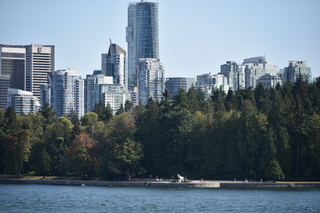 Filename=DSC_9234.JPG
Filesize=18278KiB
Dimensions=7360x4912
Date added=Sep 16, 2019 DSC_9234.JPG