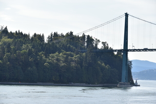 Filename=DSC_9236.JPG
Filesize=18131KiB
Dimensions=7360x4912
Date added=Sep 16, 2019 DSC_9236.JPG