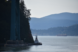 Filename=DSC_9238.JPG
Filesize=15501KiB
Dimensions=7360x4912
Date added=Sep 16, 2019 DSC_9238.JPG