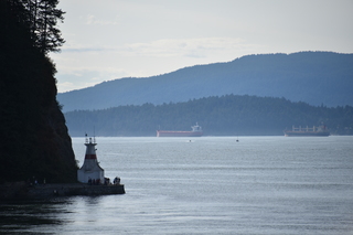 Filename=DSC_9241.JPG
Filesize=16514KiB
Dimensions=7360x4912
Date added=Sep 16, 2019 DSC_9241.JPG