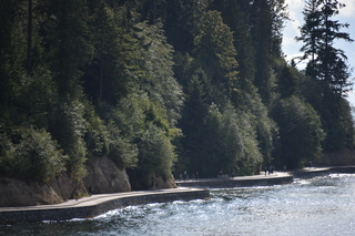 Filename=DSC_9259.JPG
Filesize=19930KiB
Dimensions=7360x4912
Date added=Sep 16, 2019 DSC_9259.JPG