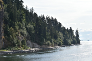 Filename=DSC_9262.JPG
Filesize=21357KiB
Dimensions=7360x4912
Date added=Sep 16, 2019 DSC_9262.JPG