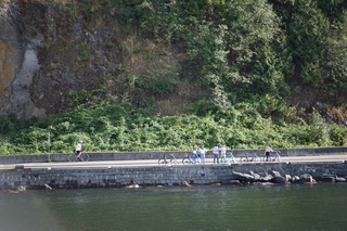 Filename=DSC_9273.JPG
Filesize=21837KiB
Dimensions=7360x4912
Date added=Sep 16, 2019 DSC_9273.JPG