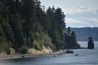 Filename=DSC_9280.JPG
Filesize=18993KiB
Dimensions=7360x4912
Date added=Sep 16, 2019 DSC_9280.JPG