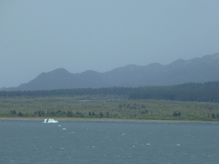 Filename=P1070945.JPG
Filesize=5156KiB
Dimensions=4320x3240
Date added=Sep 17, 2019 P1070945.JPG