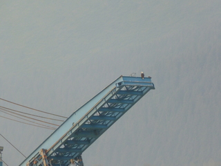 Filename=P1070971.JPG
Filesize=5581KiB
Dimensions=4320x3240
Date added=Sep 17, 2019 P1070971.JPG