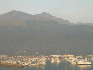 Filename=P1070979.JPG
Filesize=5345KiB
Dimensions=4320x3240
Date added=Sep 17, 2019 P1070979.JPG