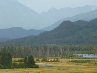 Filename=P1070988.JPG
Filesize=5367KiB
Dimensions=4320x3240
Date added=Sep 17, 2019 P1070988.JPG