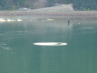 Filename=P1080072.JPG
Filesize=5489KiB
Dimensions=4320x3240
Date added=Sep 17, 2019 P1080072.JPG