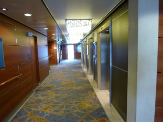 Filename=P1080082.JPG
Filesize=5683KiB
Dimensions=4320x3240
Date added=Sep 17, 2019 P1080082.JPG