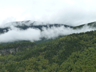 Filename=P1080092.JPG
Filesize=5543KiB
Dimensions=4320x3240
Date added=Sep 17, 2019 P1080092.JPG