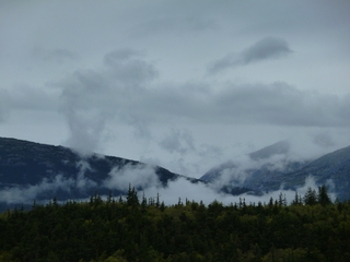 Filename=P1080102.JPG
Filesize=5405KiB
Dimensions=4320x3240
Date added=Sep 17, 2019 P1080102.JPG