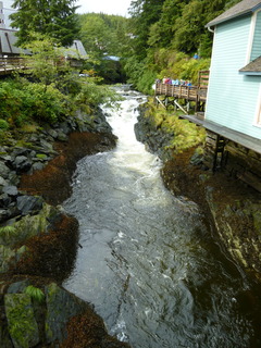 Filename=P1080118.JPG
Filesize=4502KiB
Dimensions=3240x4320
Date added=Sep 17, 2019 P1080118.JPG