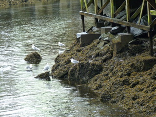 Filename=P1080142.JPG
Filesize=5459KiB
Dimensions=4320x3240
Date added=Sep 17, 2019 P1080142.JPG