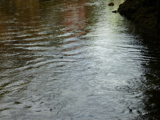 Filename=P1080155.JPG
Filesize=5852KiB
Dimensions=4320x3240
Date added=Sep 17, 2019 P1080155.JPG