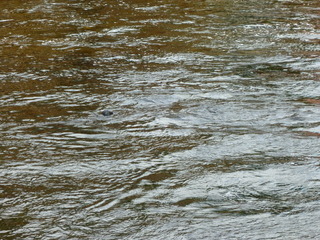 Filename=P1080157.JPG
Filesize=5738KiB
Dimensions=4320x3240
Date added=Sep 17, 2019 P1080157.JPG