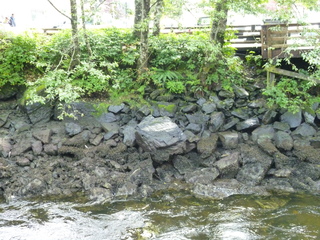 Filename=P1080165.JPG
Filesize=6308KiB
Dimensions=4320x3240
Date added=Sep 17, 2019 P1080165.JPG