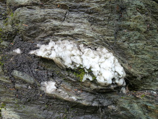 Filename=P1080168.JPG
Filesize=5520KiB
Dimensions=4320x3240
Date added=Sep 17, 2019 P1080168.JPG