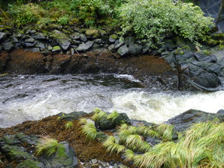 Filename=P1080169.JPG
Filesize=5618KiB
Dimensions=4320x3240
Date added=Sep 17, 2019 P1080169.JPG