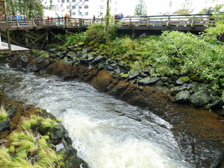 Filename=P1080171.JPG
Filesize=5659KiB
Dimensions=4320x3240
Date added=Sep 17, 2019 P1080171.JPG