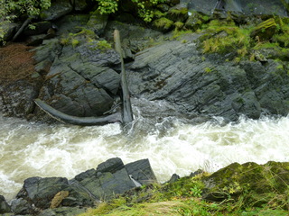 Filename=P1080173.JPG
Filesize=5394KiB
Dimensions=4320x3240
Date added=Sep 17, 2019 P1080173.JPG